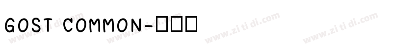 GOST COMMON字体转换